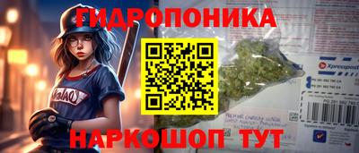 стаф Жуковский