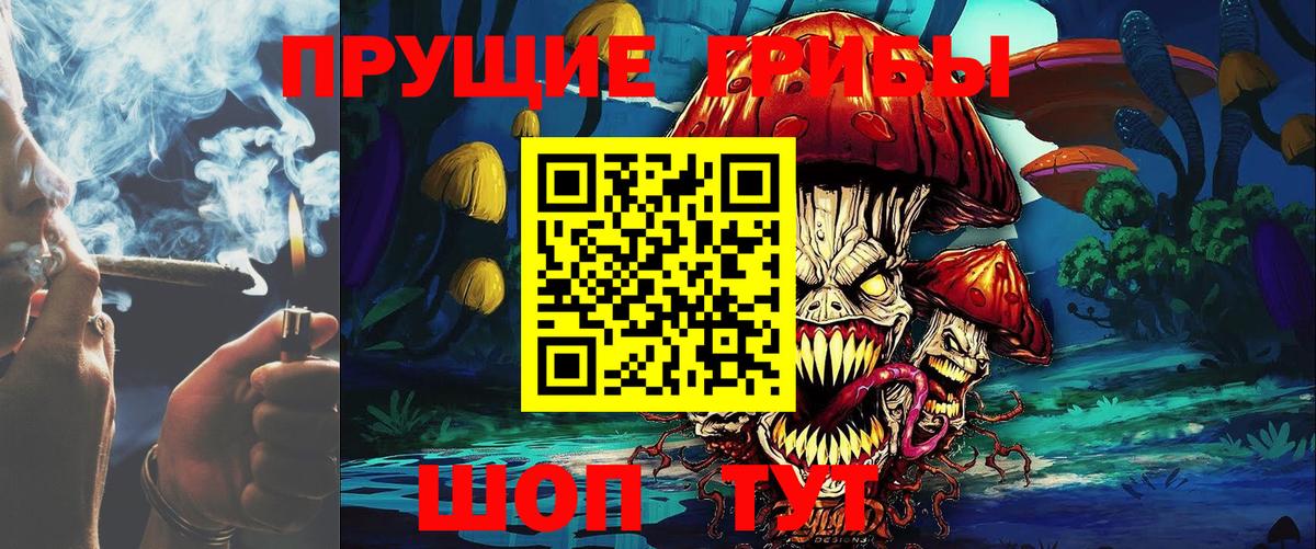 Луга  Галлюциногенные грибы прущие грибы  Вход с VPN 