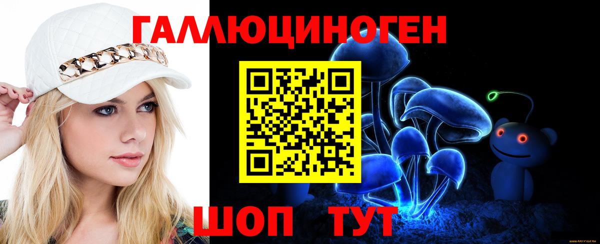 Псилоцибиновые грибы Psilocybine cubensis Луга